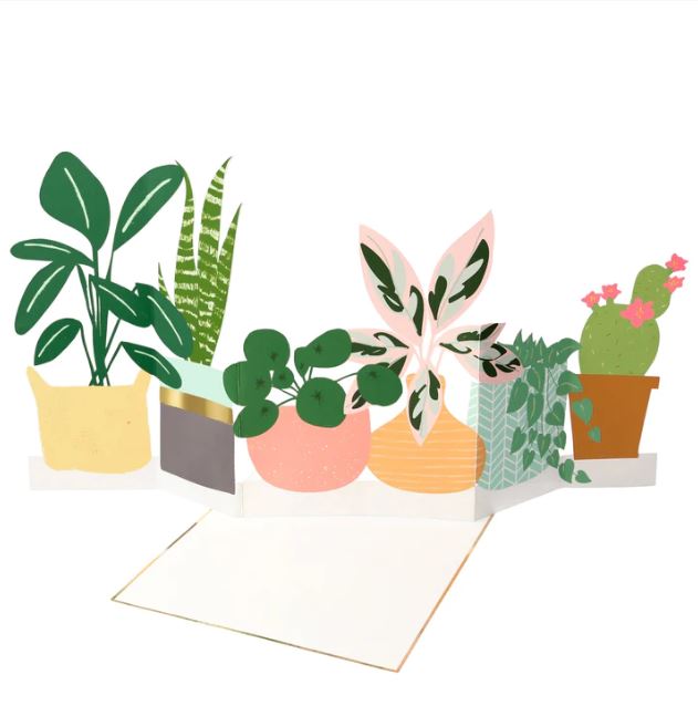 Postal Vaso com Plantas
