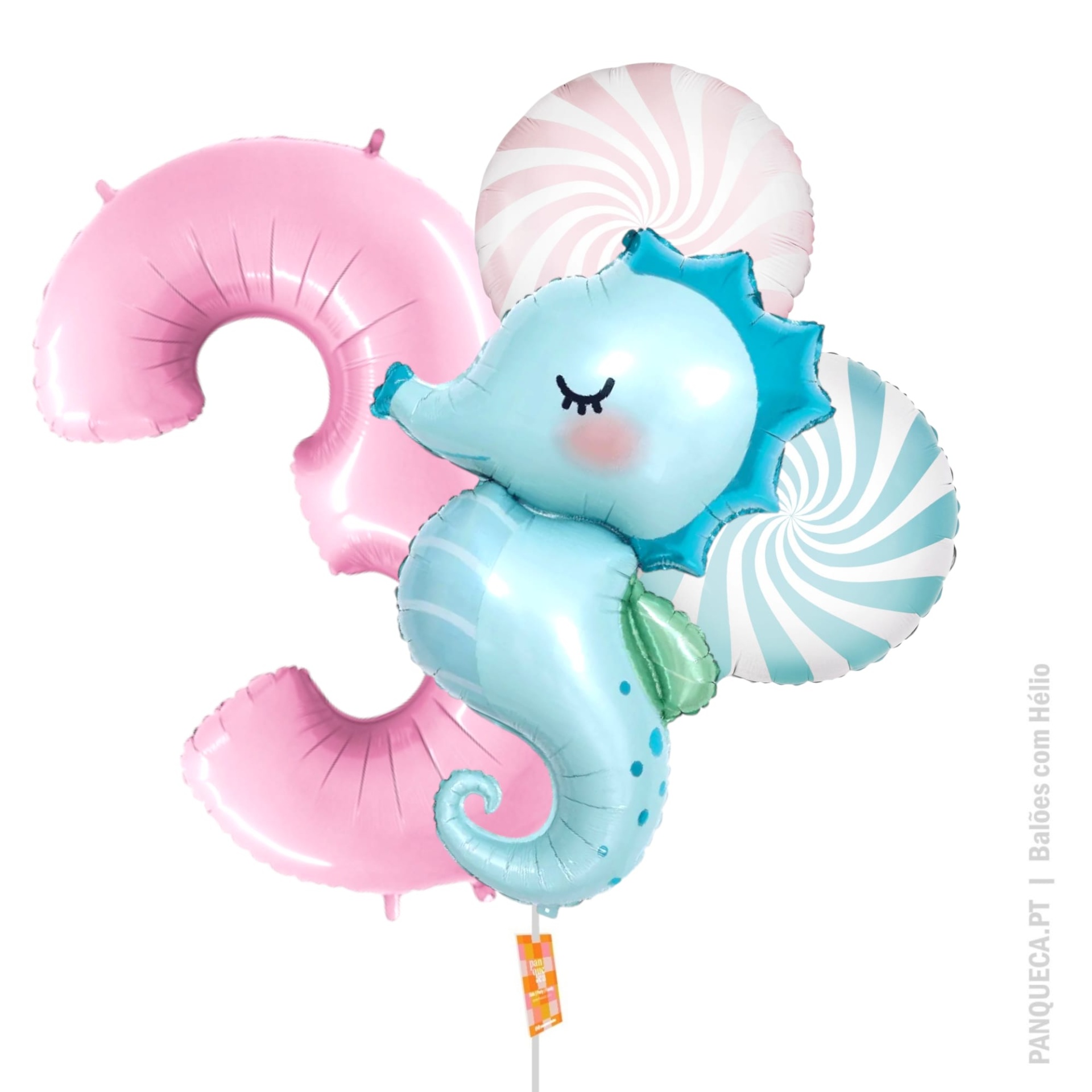 Conjunto de balões | Hélio | Cavalo Marinho