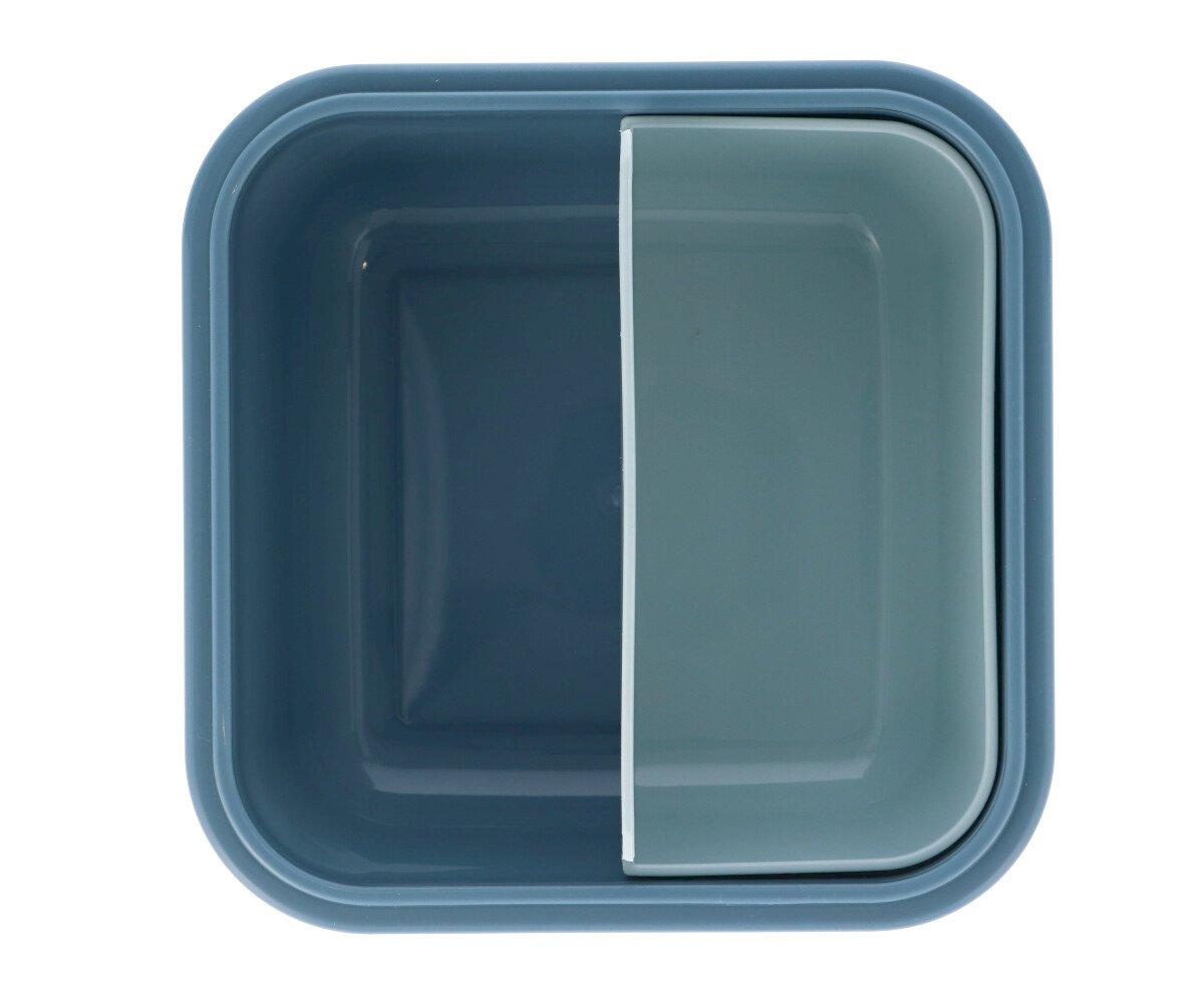 Caixas para alimentos skater dog