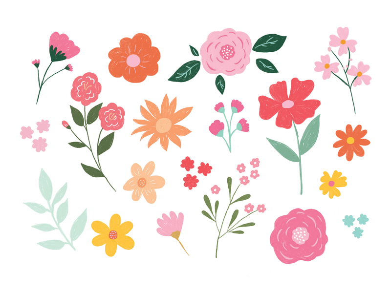 Ilustração de várias flores coloridas em fundo branco