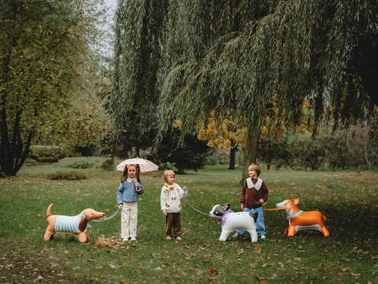 Balão de pousar | Bulldog | Happy Dog