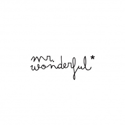 Mr. Wonderful