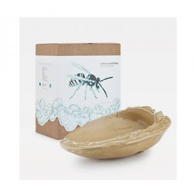 A Bruxa e os Frutos | Amêndoa