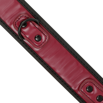 Coleira com Trela e algemas