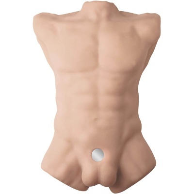 APOLLO L TORSO MASCULINO REALISTA