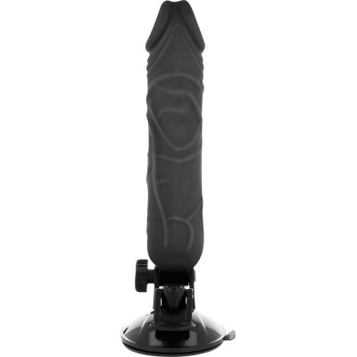 BASECOCK Vibrador c/comando 20cm (pt)