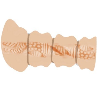 Objecto segmentado em quatro partes com padrões texturizados em bege