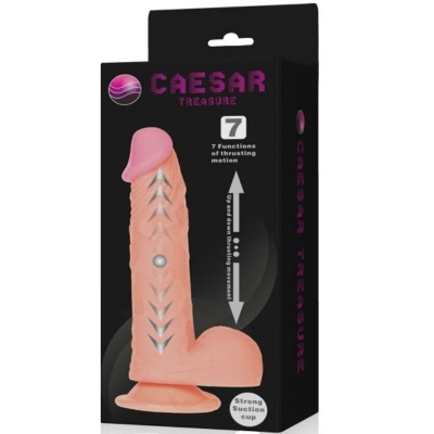 CAESAR TREASURE VIBRADOR REALISTA UP&DOWN FUNÇÃO