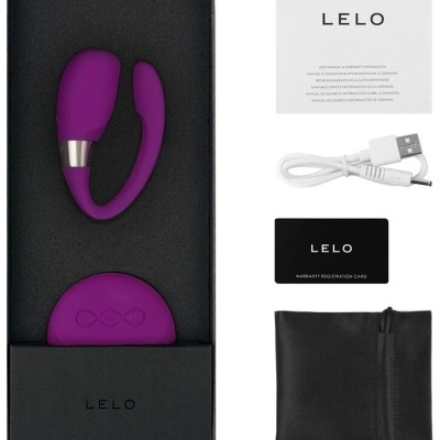 Conjunto LELO com dispositivo roxo, controle, cabo USB, cartão, manual e saco preto