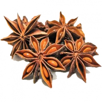 PONTENCIADORES NATURAIS E AFRODIZIACOS