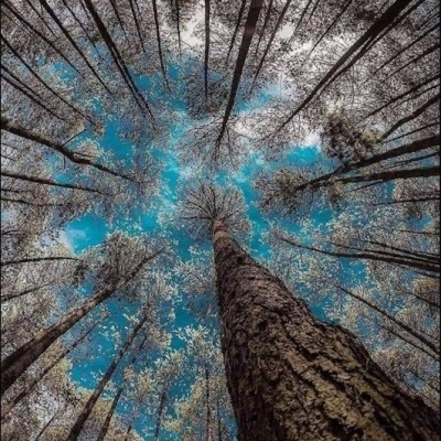 Experimental 05Jan 2023