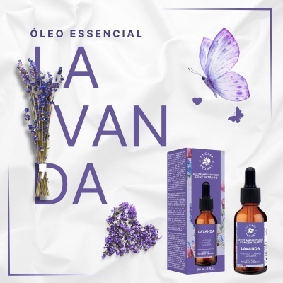 Óleo Hidrosolúvel Concentrado 30ml Lavanda