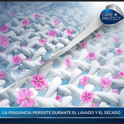 Talco Wash 100ml Fragrância de lavandaria concentrada para máquina de roupa Talco Wash 100ml Fragrância de lavandaria concentrada para máquina de roupa