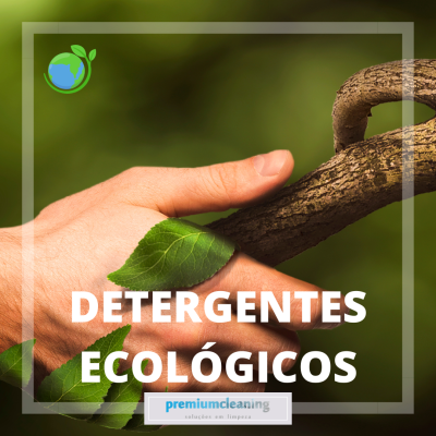 DETERGENTES ECOLÓGICOS