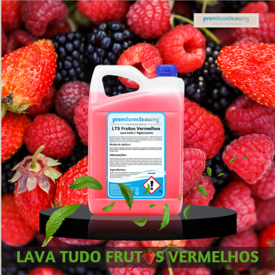 Lava-Tudo 5L FRT.VERMELHOS Higienizante