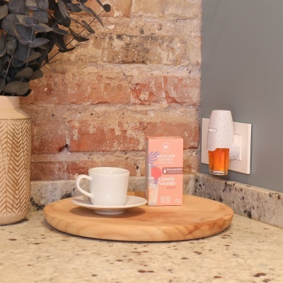 Recarga Ambientador Elétrico Plugin 20ml Canela-Laranja
