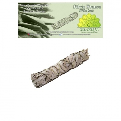 Sálvia Branca Tocha 14cm