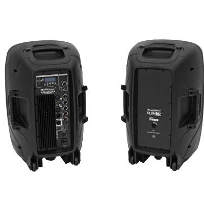 Sistema de áudio portátil profissional preto com controlos visíveis