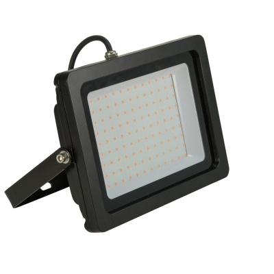 EUROLITE LED IP FL-100 SMD blue