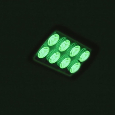 EUROLITE LED IP FL-8 green 30°