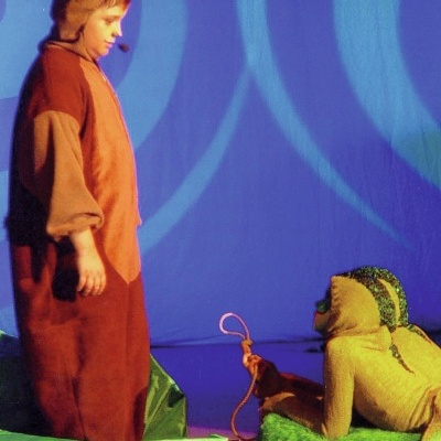 OMNILUX PAR-64 240V/1000W GX16d NSP 300h H