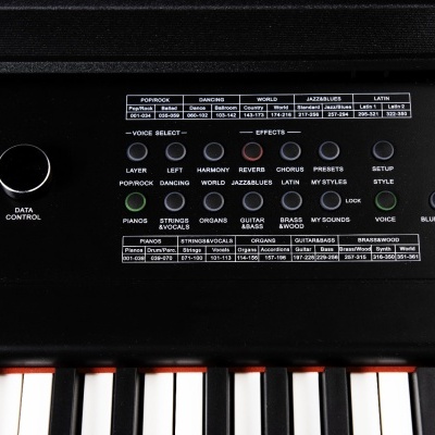 ORLA PF400 BK 88 Hammer Graded Keyboard