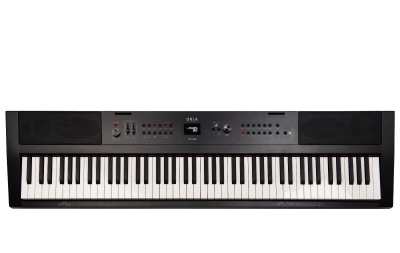 ORLA PF300 BK 88 Hammer Graded Keyboard