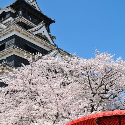 Castelo japonês com cerejeiras em flor e guarda-chuva vermelho
