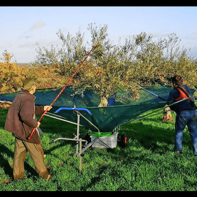 Maquina Apanha Azeitona LIGHT 4.5M