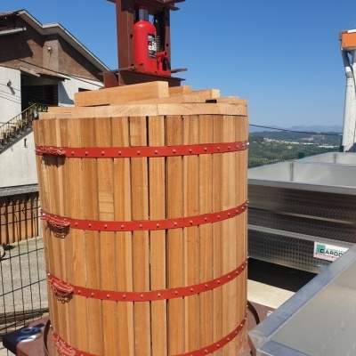 Prensa Hidraulica P/Vinho 50T C/Elevador