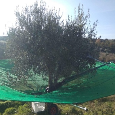 Maquina Apanha Azeitona MANUAL 6.5M