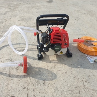 Grupo Pulverização 2 Tempos Rocha