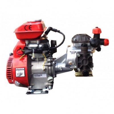 Grupo Pulverização 4T 2,5CV AR202