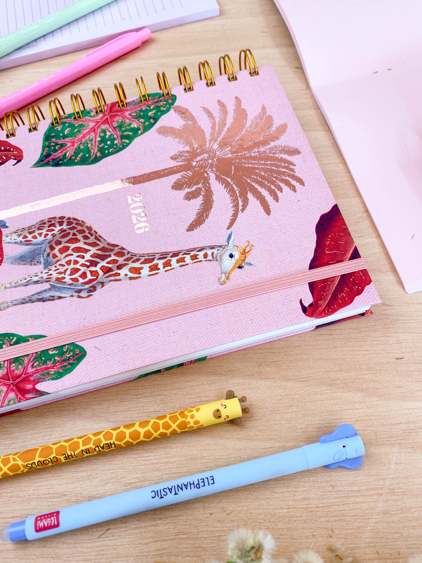 Agenda Semanal 2026 🩷 Girafa 🦒