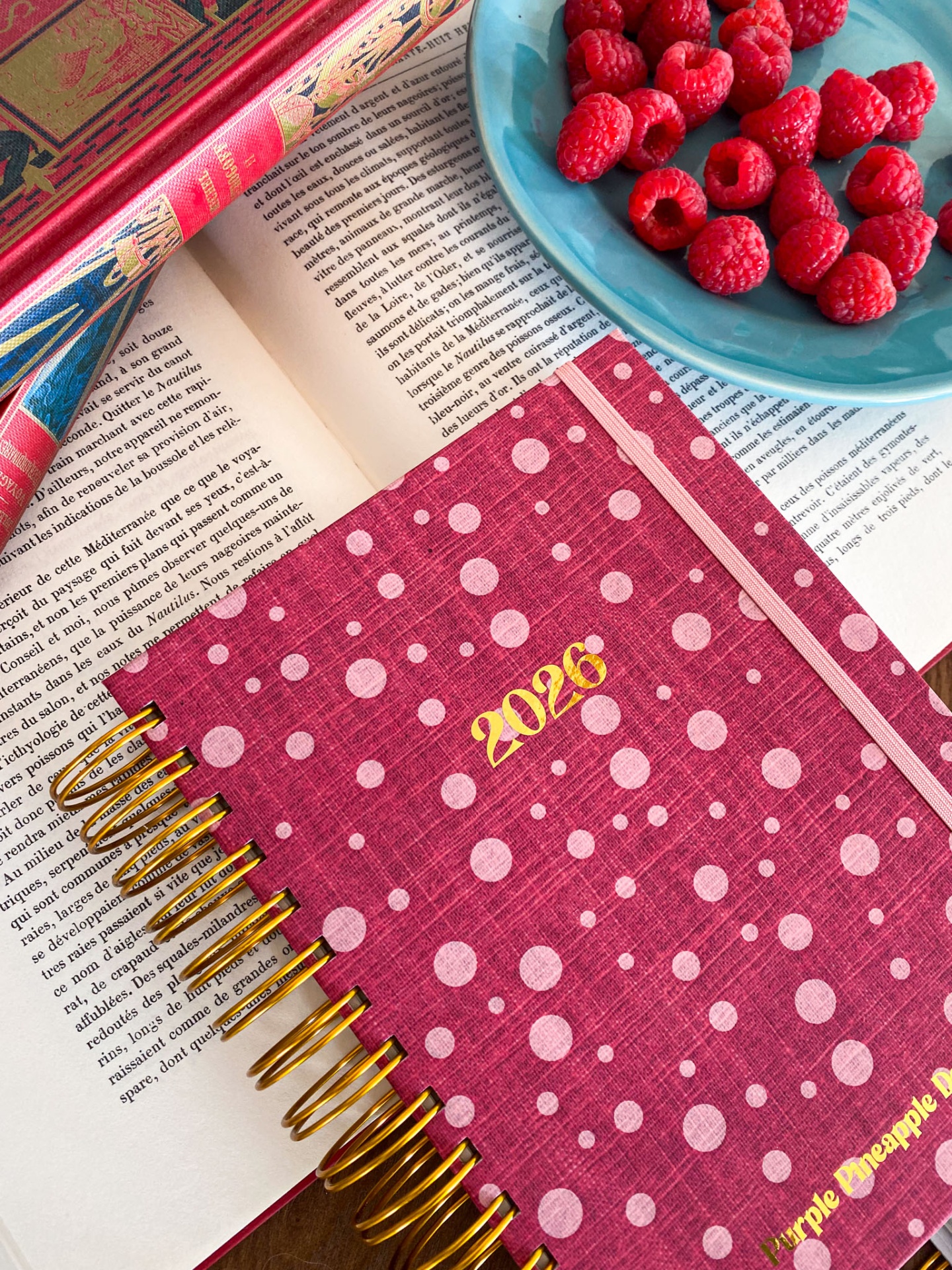 Agenda Diária Sem Horários 🍒 Amélie Vermelha ❤️ 2026 Pautada ou Bullet A5 e A6