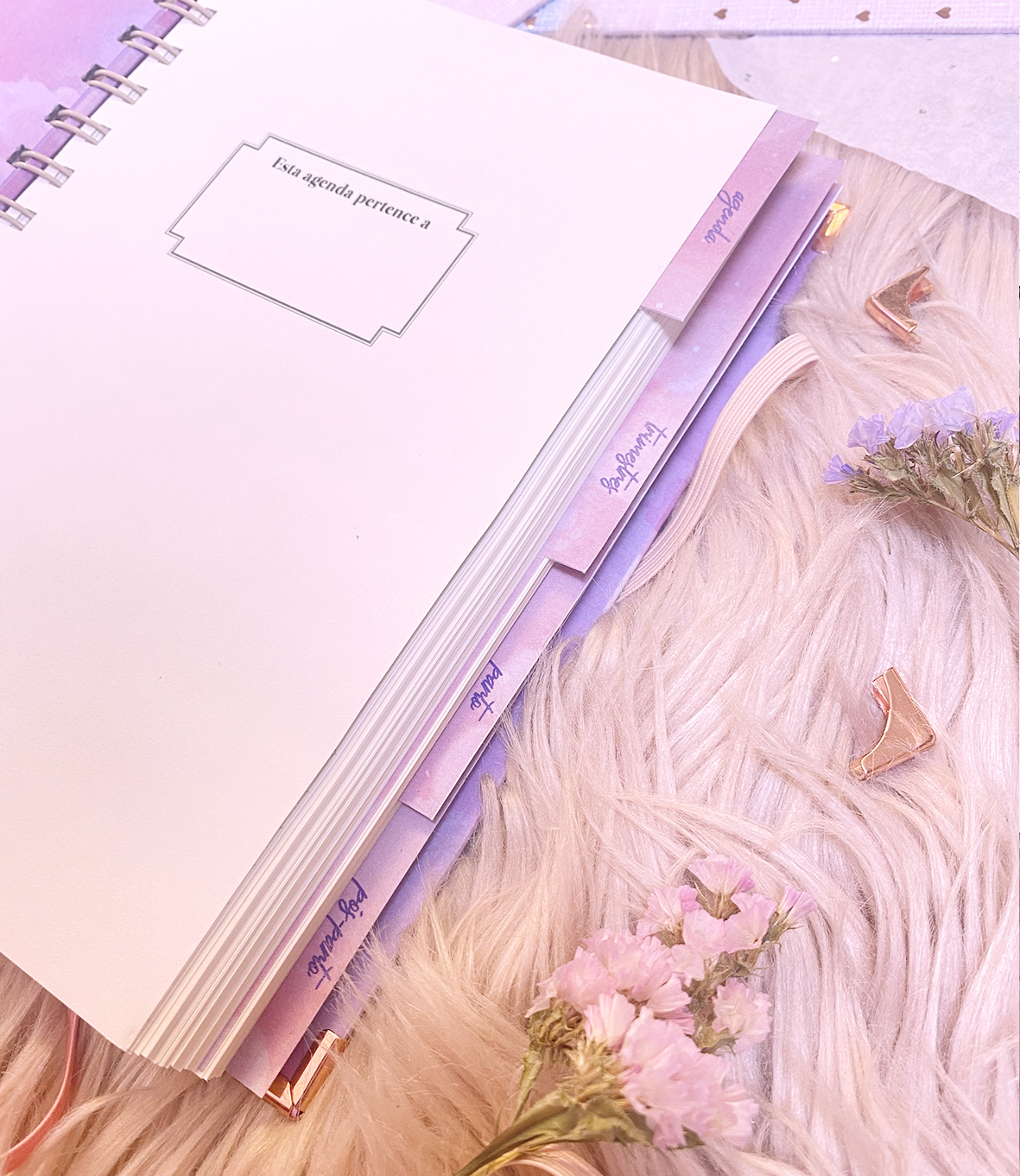 Agenda de grávida — A minha melhor aventura