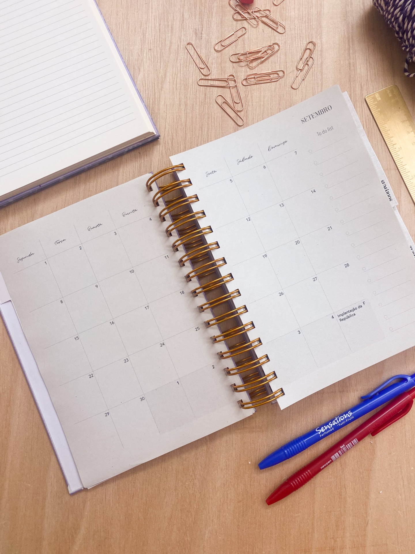 Agenda de Professor 2025/2026 🌹 Liberdade em Flor 💖 A4 e A5