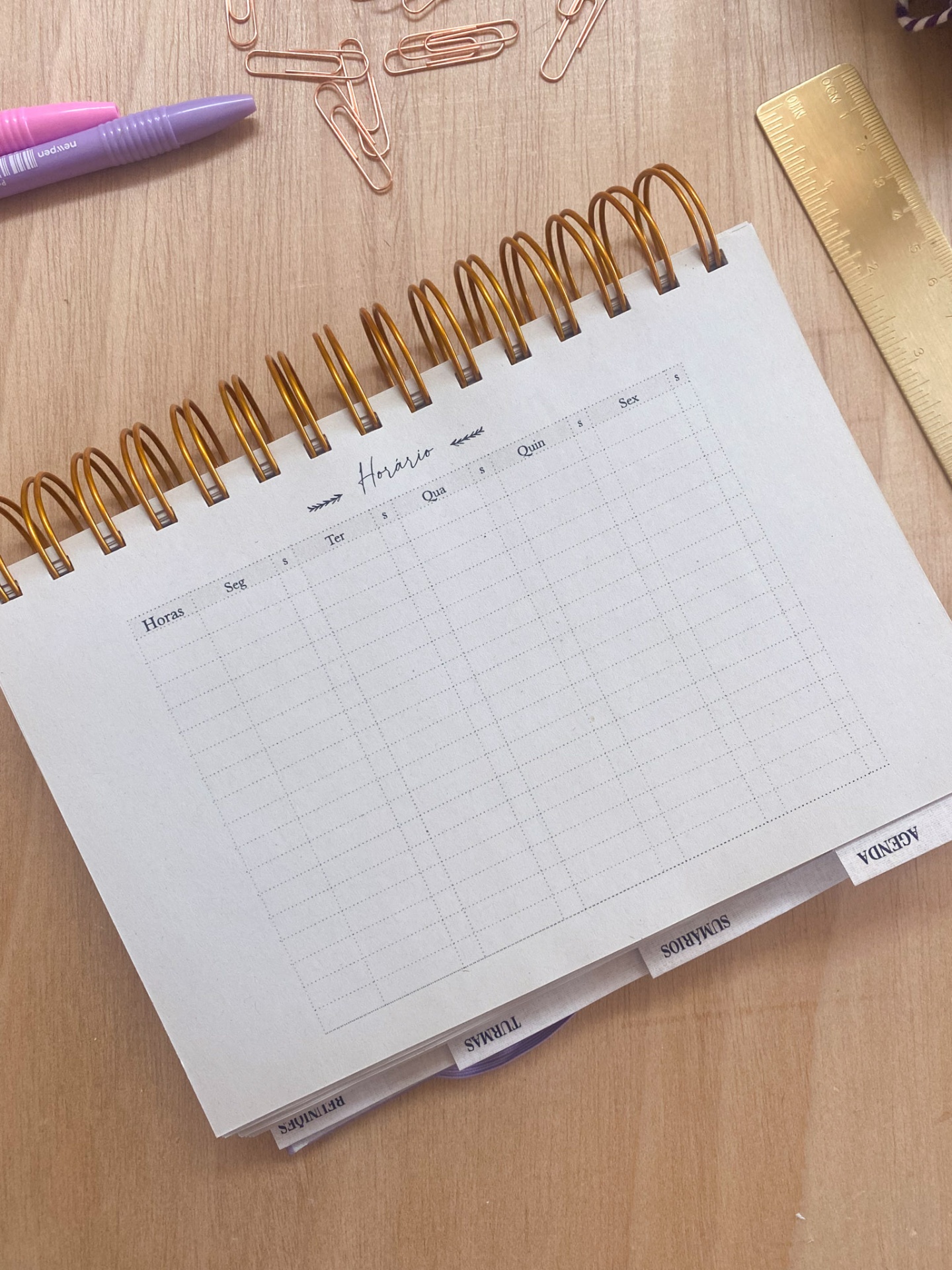 Agenda de Professor 2025/2026 🌹 Liberdade em Flor 💖 A4 e A5