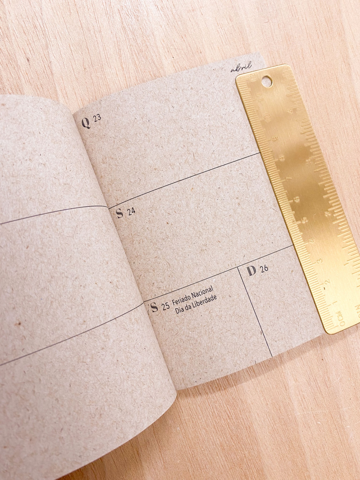 Agenda de Bolso ✨ Leopardo 🐆 2026