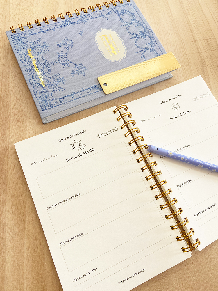 Stay soft 🐇 Diário de Gratidão