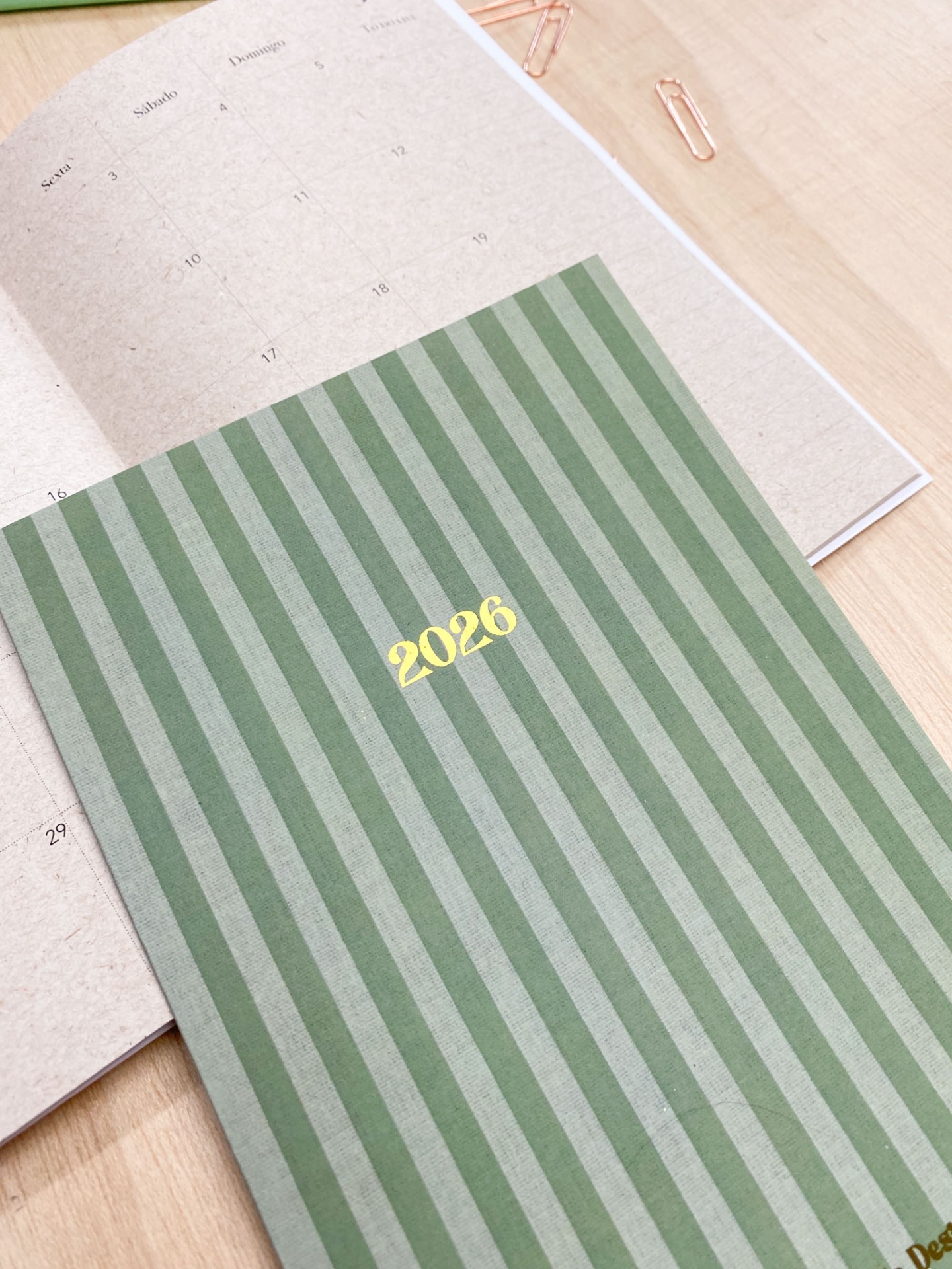 Agenda Mensal 2026 💚 Riscas verde