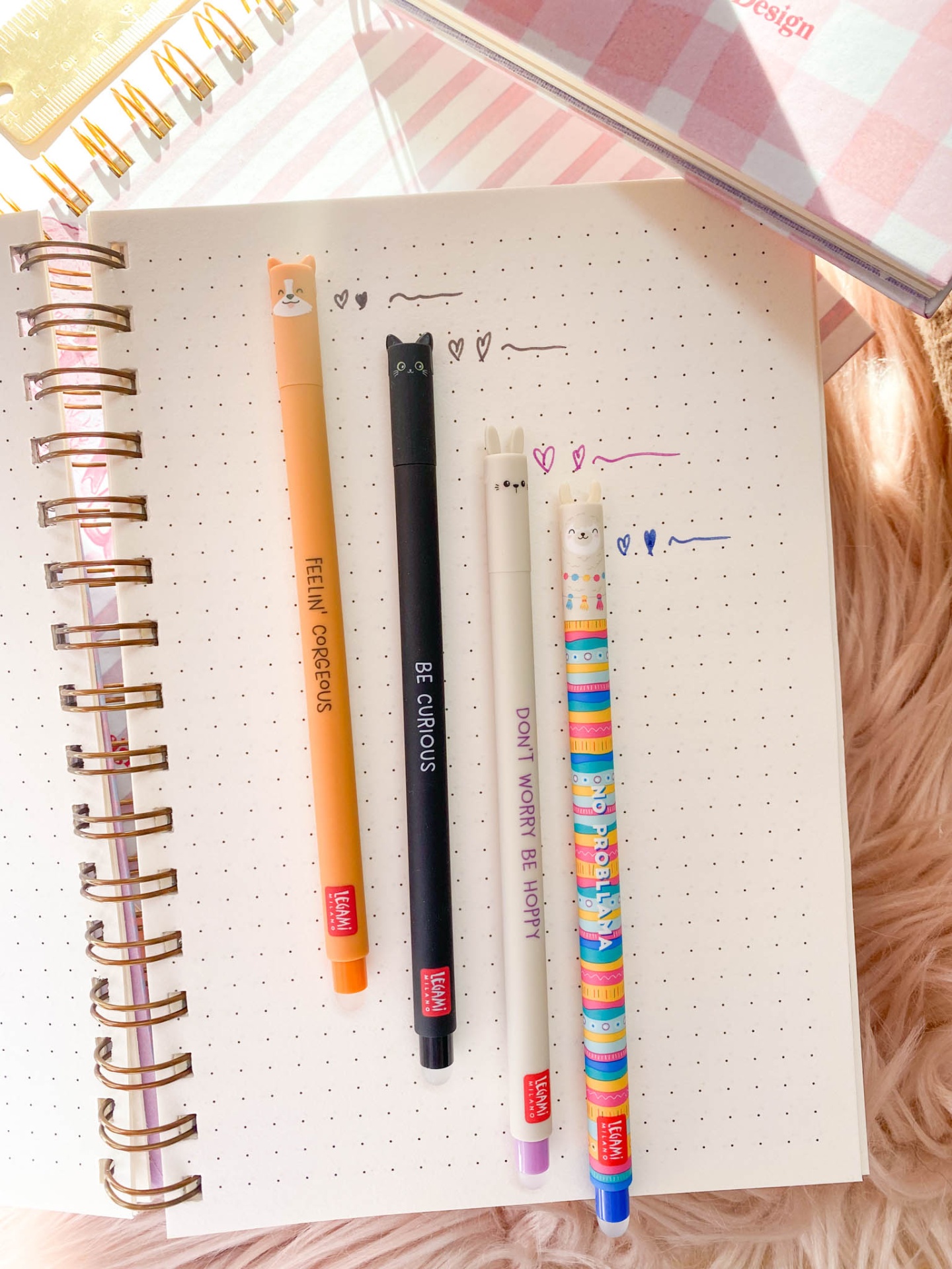 Gato 🐈‍⬛  Caneta apagável