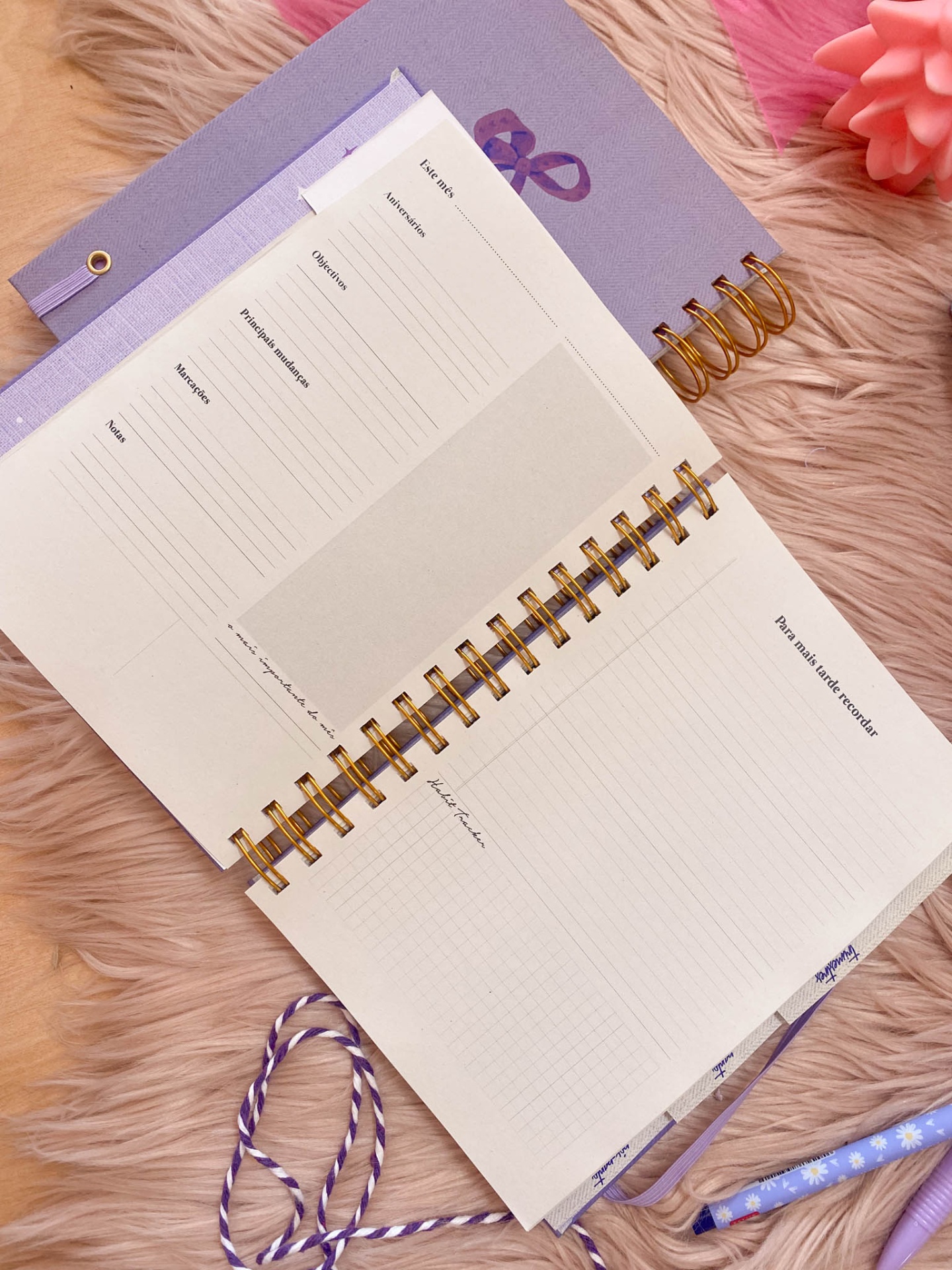 Agenda de grávida 💜🎀