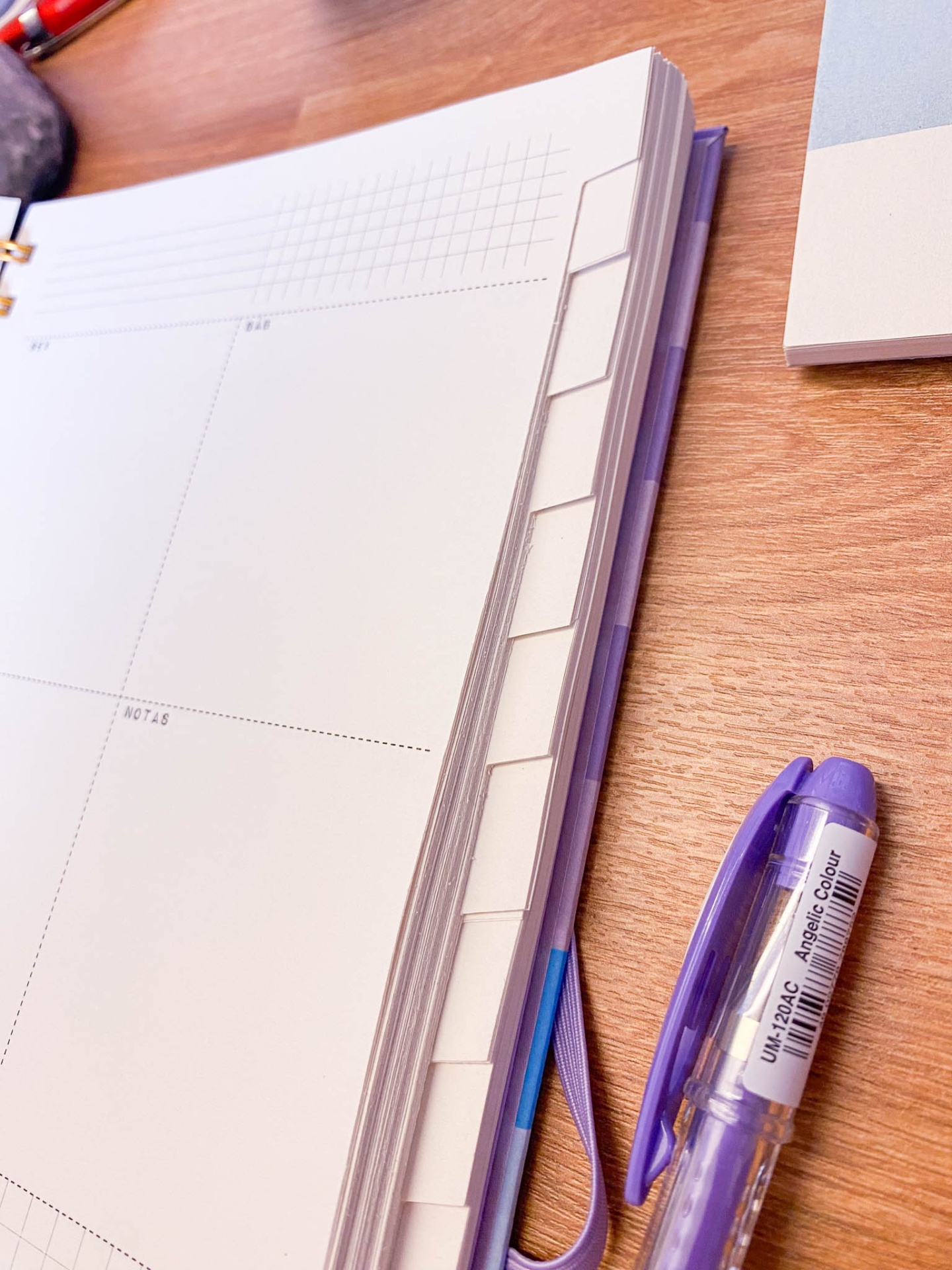 Agenda sem data ☼ Xadrez Lilás e Azul