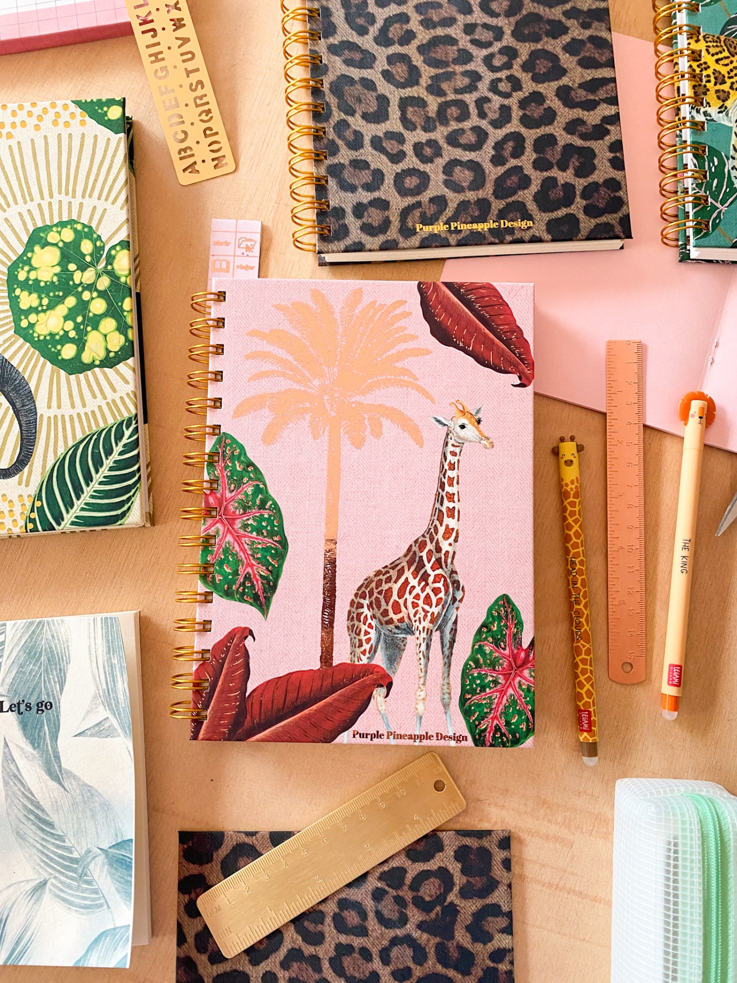 Pink Giraffe 🦒 💕Bullet journal