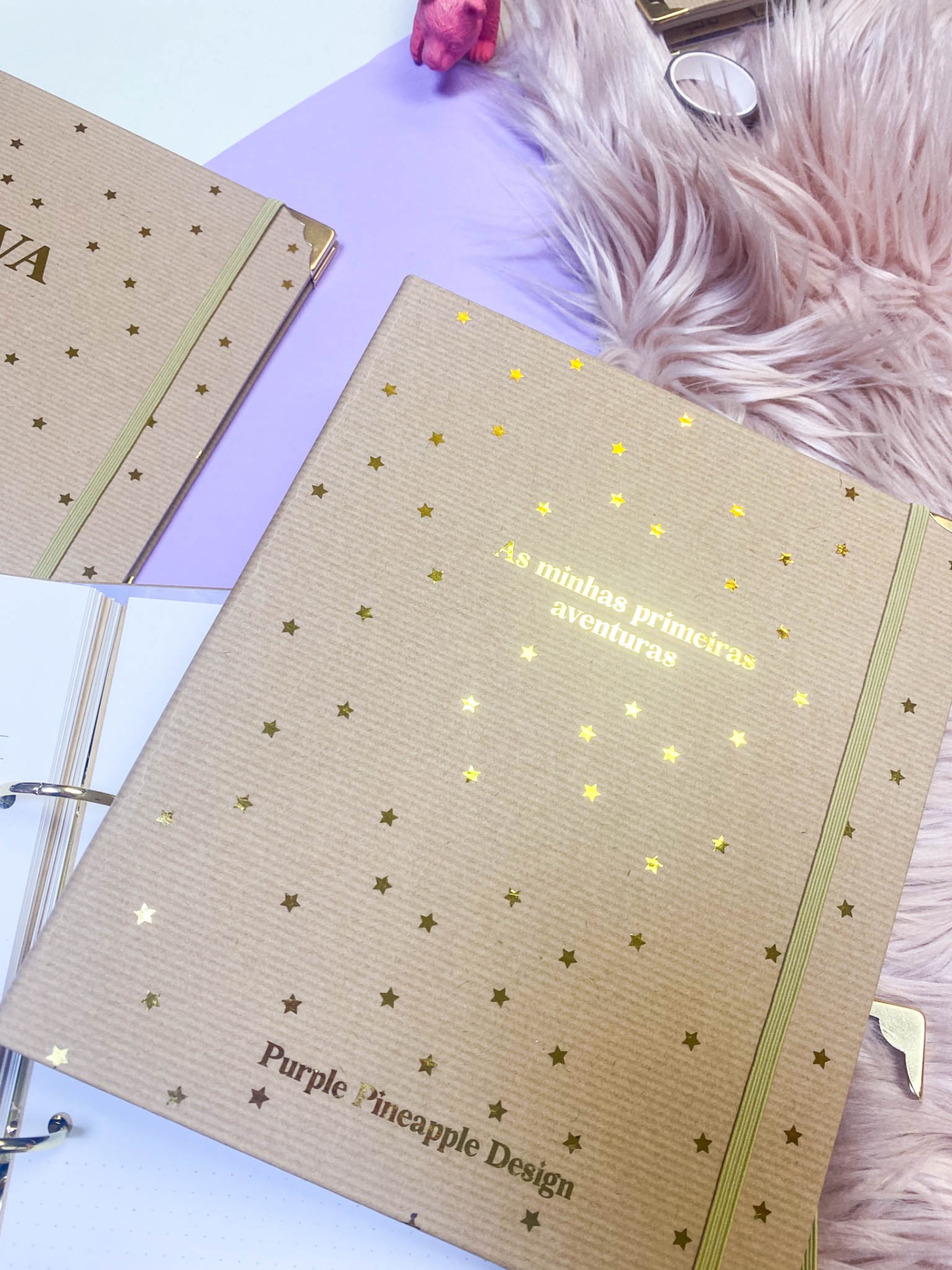 As minhas primeiras Aventuras Kraft - Dossier de Bebé