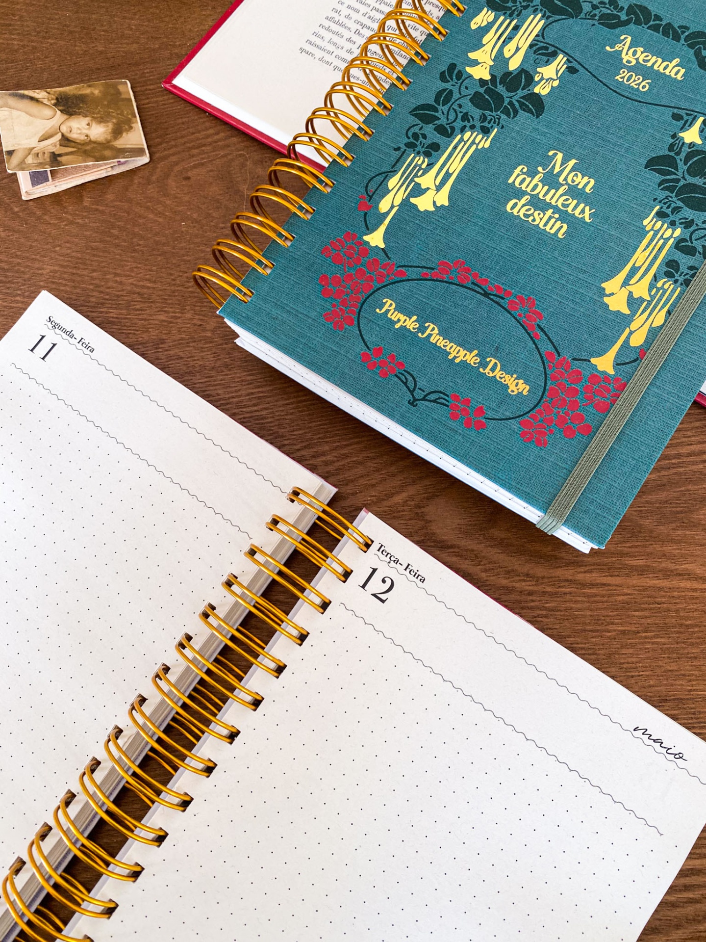 Agenda Diária Sem Horários 🍒 Amélie Verde 💚 2026 Pautada ou Bullet A5 e A6