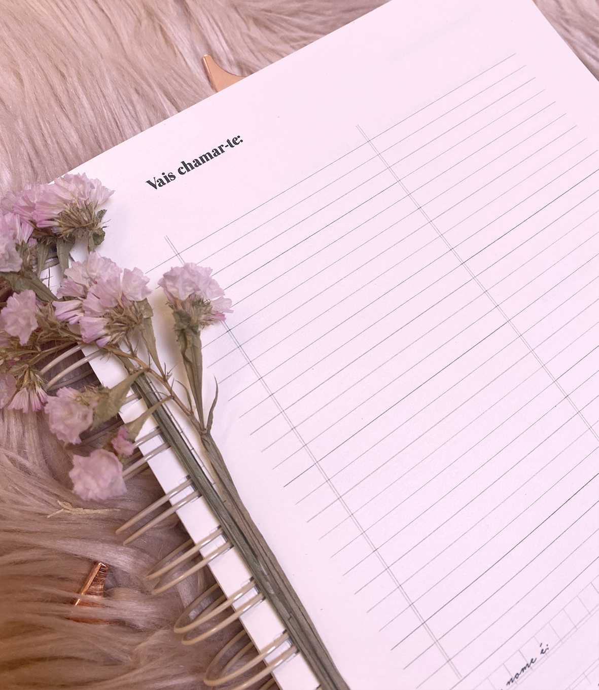 Agenda de grávida — A minha melhor aventura