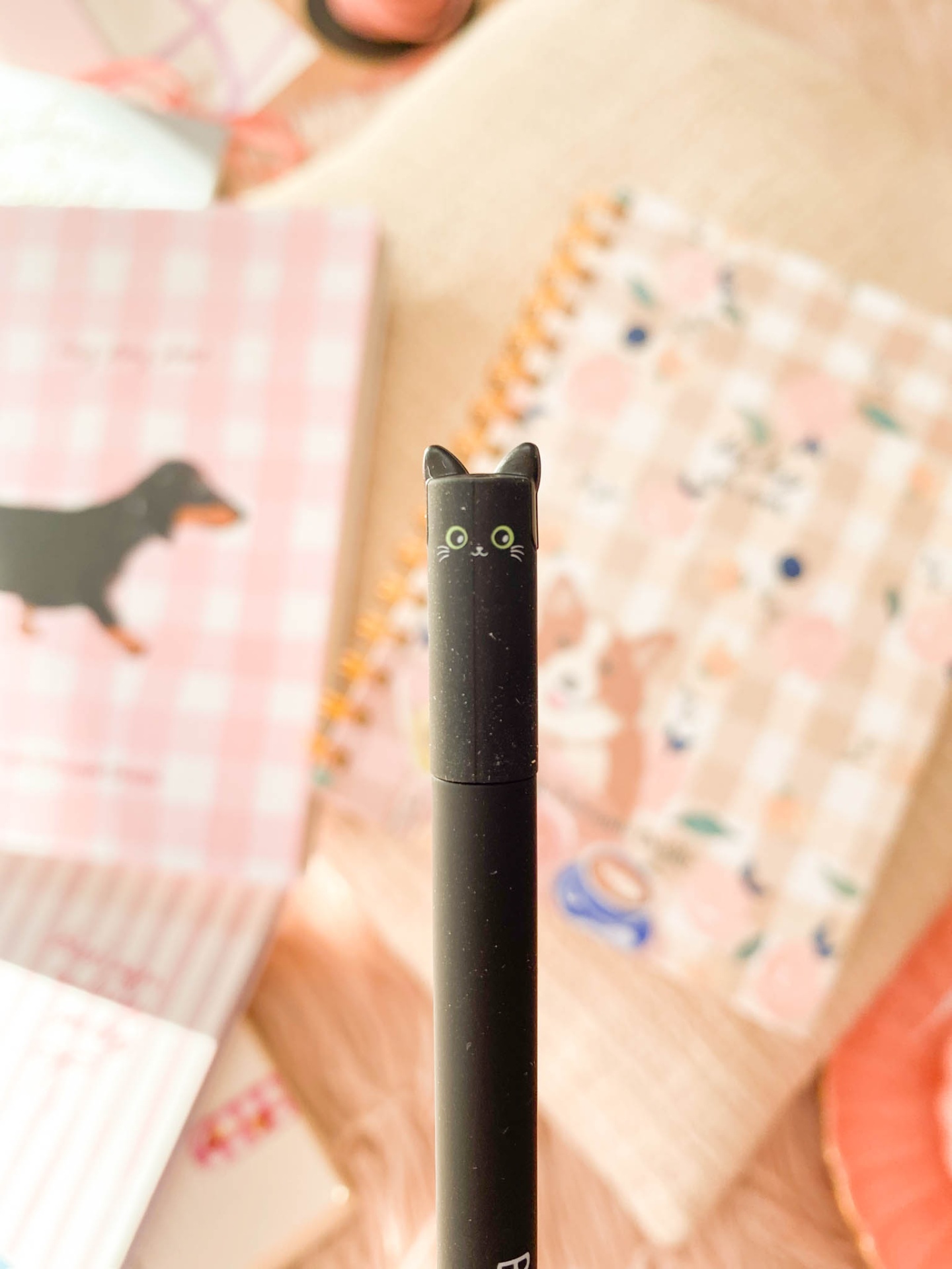 Gato 🐈‍⬛  Caneta apagável