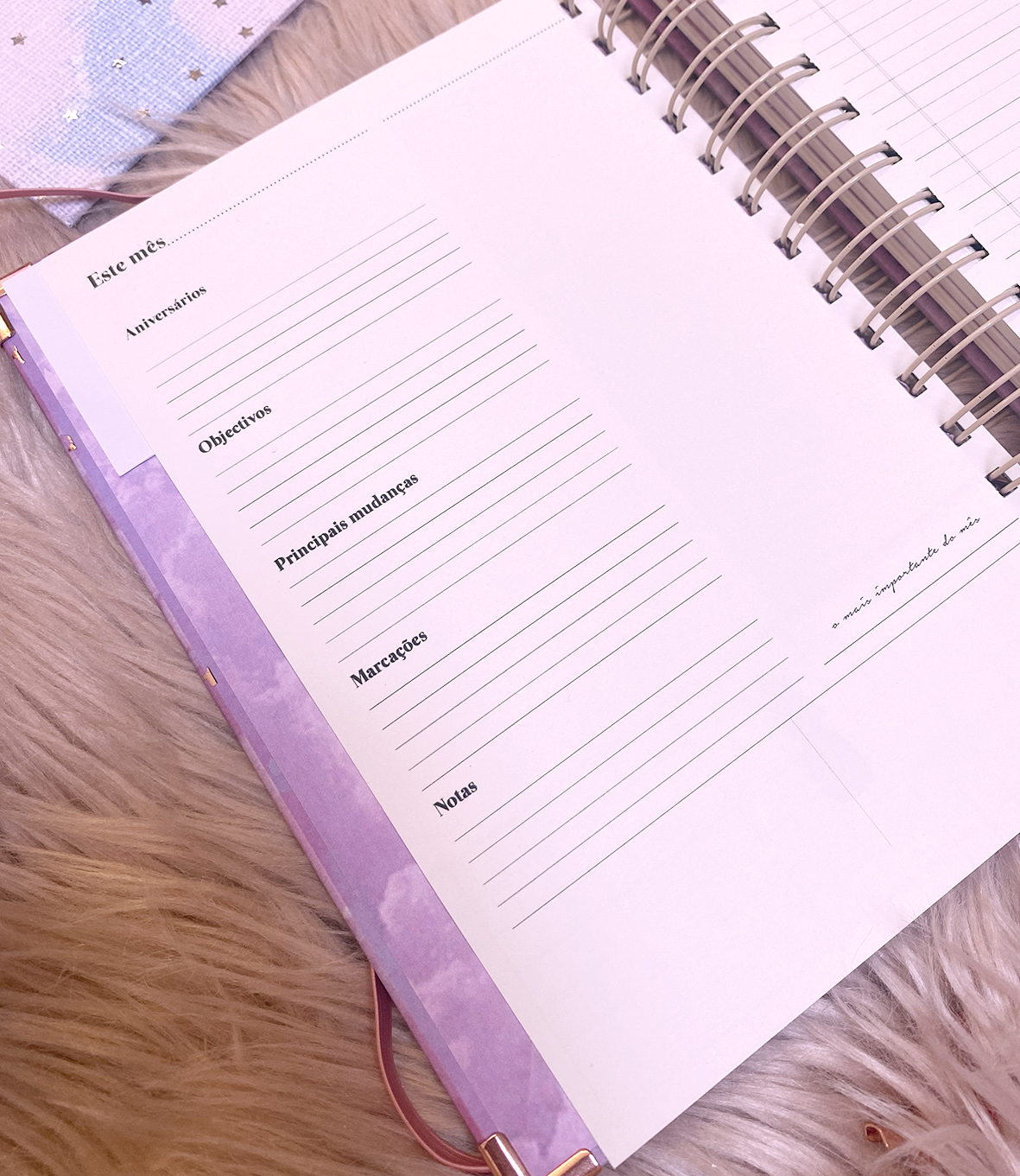 Agenda de grávida — A minha melhor aventura